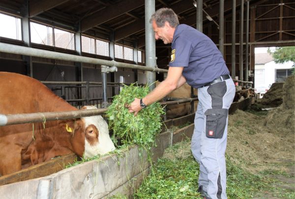 Peter Forster ist seit 30 Jahren Leiter des landwirtschaftlichen Betriebs in der Lebenau. Vor 15 Jahren hat er auf Bio umgestellt. Foto: Hannes Höfer
